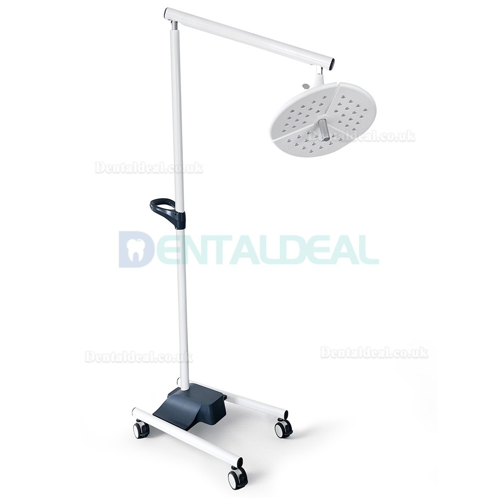 KWS KD-2036L-4 80W Mobile Dental LED Surgical Light Floor Standing